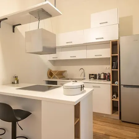 Apartment Zen-big Space, Pangrati Athens